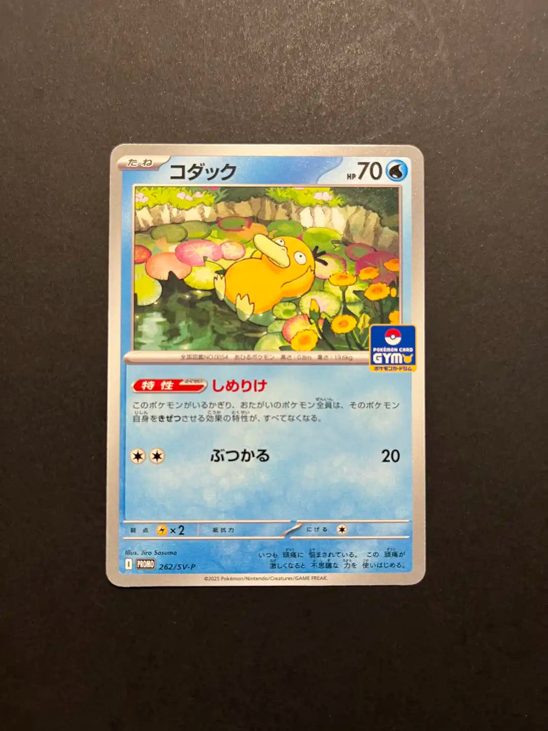 Psyduck 262/SV-P Gym Promo Pokémon TCG Rare NM Y1-26