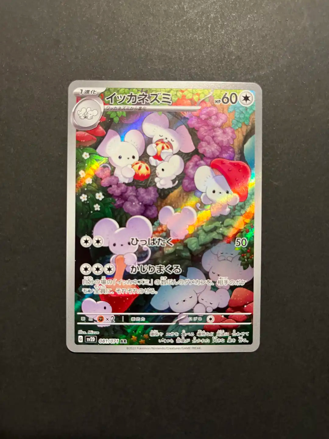 Maushold 081/071 SV2D Clayburst Pokémon TCG Rare NM Z1-5