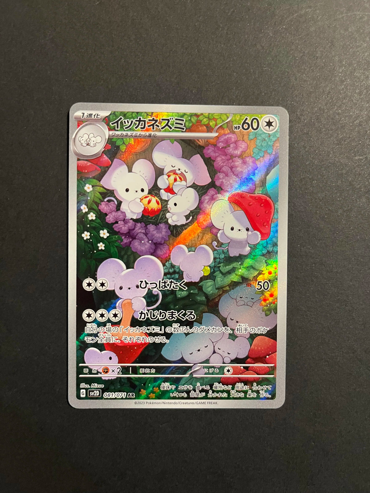 Maushold 081/071 SV2D Clay Burst JP
