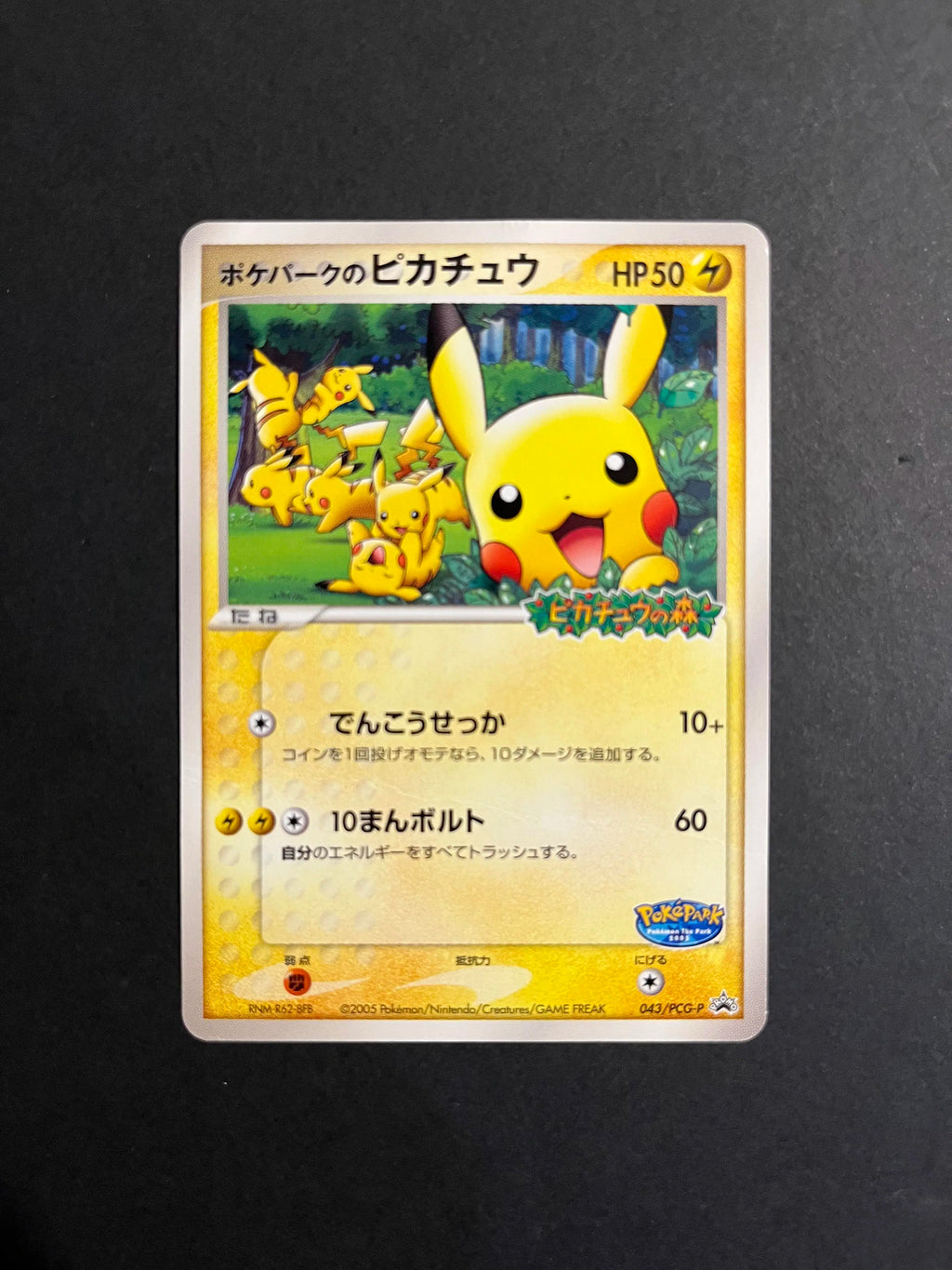PokéPark's Pikachu 043/PCG-P Japanese Promo